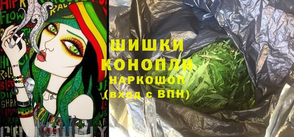 твердый Майский