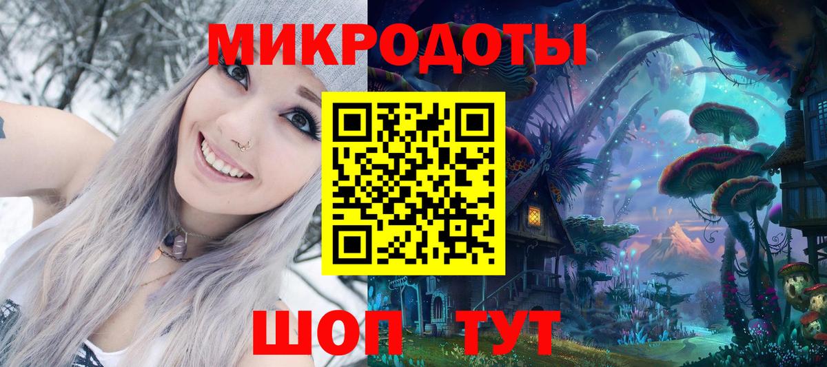 Псилоцибиновые грибы MAGIC MUSHROOMS  Прохладный  Псилоцибиновые грибы Psilocybe 