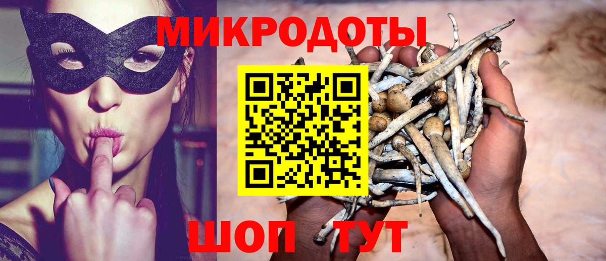 Галлюциногенные грибы Cubensis Прохладный