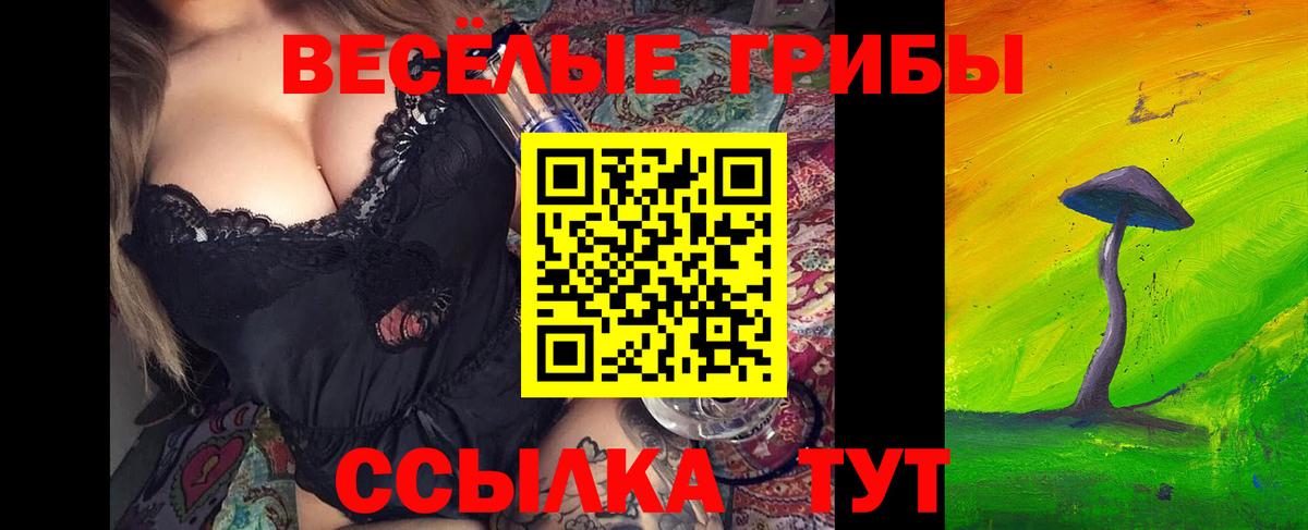 Псилоцибиновые грибы Psilocybine cubensis  Вход с VPN  Прохладный  магазин  наркотиков  Псилоцибиновые грибы MAGIC MUSHROOMS 